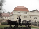 Ladislav Šlechta - Vůz s koňmi