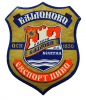 Etiketa piva Bajloni