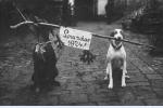 Lovu zdar 1924!